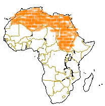 Africa Map